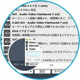 出力形式を選択